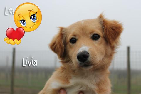 Buona Vita Livia!